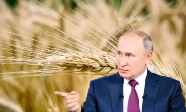 Долг-ячменём-красен:-Россия-увела-у-Австралии-многомиллионные-контракты.-Вернули-«должок»-за-санкции?