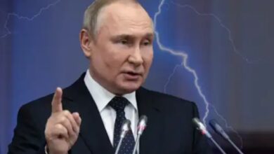 Думали,-что-безнаказанны:-Указ-Путина,-обнуливший-имущество-олигархов-по-всей-стране