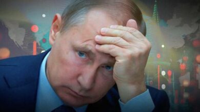 Сумрачный-северный-разум.-«Слабоумие-и-отвага»-—-принцип-жизни