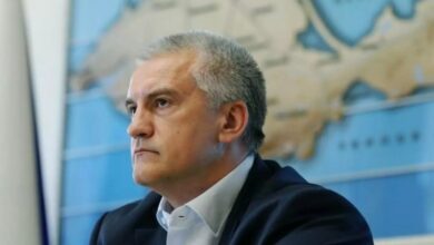 Аксенов-предложил-запретить-мигрантам-привозить-в-Россию-социальных-иждивенцев