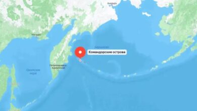 Сделка-века:-для-чего-американцам-понадобились-наши-Командорские-острова