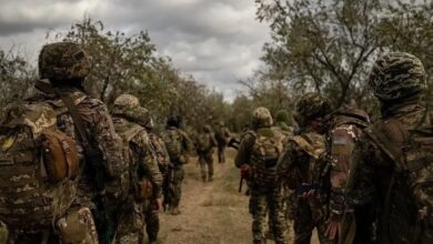 Депутат-Рады:-если-небольшое-подразделение-ВСУ-зайдёт-в-Белоруссию,-её-армия-сложит-оружие