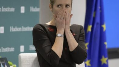 «Европа-загнана-в-угол-из-за-Ирана»:-ЕС-пожинает-плоды-своей-глупости.-Россия-смотрит-и-улыбается