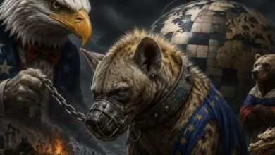 «Пусть-сначала-американцы»:-Казаков-рассказал,-как-США-«заставили»-Европу-воевать-с-Россией