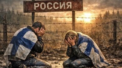 «Потеряем-шесть-регионов»:-финны-осознали-главную-ошибку-и-просят-Москву-остановиться
